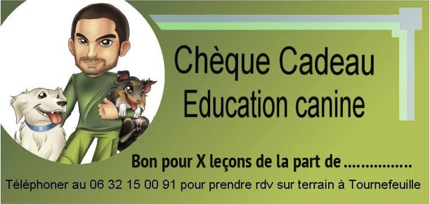 Modèle de chèque cadeau pour des cours d'éducation canine à Toulouse, personnalisable avec le nombre de leçons et le nom de la personne qui offre le cadeau
