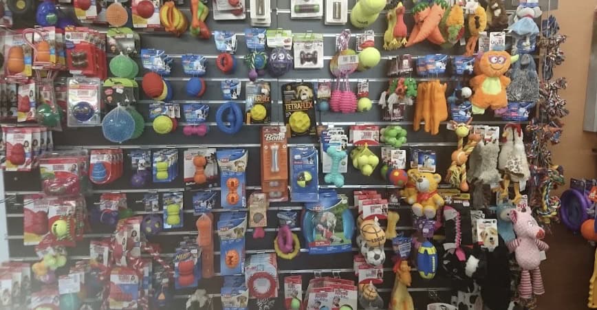 Le clicker, un accessoire parmi de nombreux objets pour l'éducation canine (Cani'Cat Toulouse)