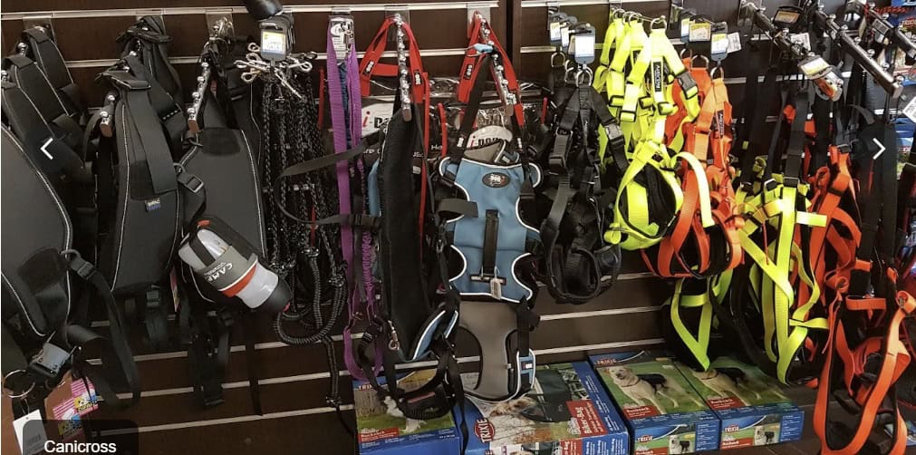 Harnais pour chiens en forme de X chez Cani'Cat Toulouse